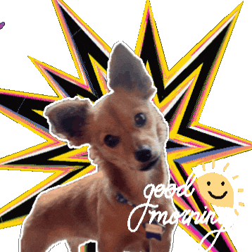 Good Morning Buenos Dias Sticker by Breathing Room