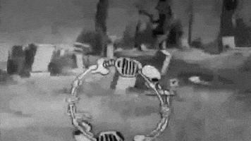 skeleton skelly GIF