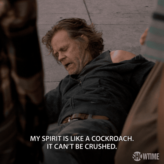 Season 7 GIF by Shameless