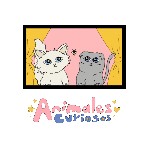 White Cat Cats Sticker