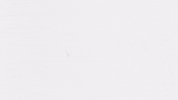 Rio Clima GIF by climariooficial