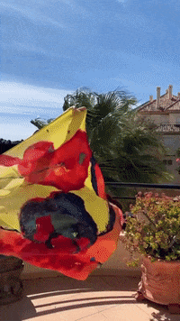 Casol-casol-paganini-maria-elena-TaqZrhq0zvQYcJmmdg