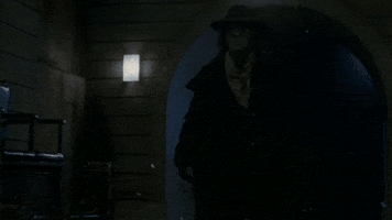 AshleyBrie55  GIF