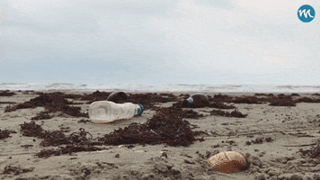 Elasmocean GIF