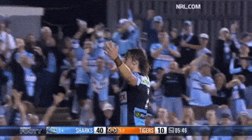 Nrl Sharks GIF
