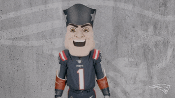 Stand Up Reaction GIF by New England Patriots