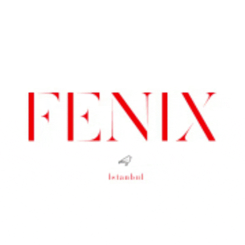 fenixistanbul GIF