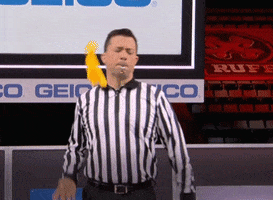 Animal Planet Referee GIF by Puppy Bowl