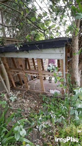 dad shed GIF