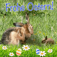 Easter Bunny GIF by SWR Kindernetz