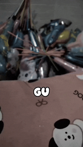 Meme GIF