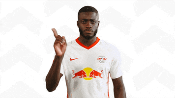 Red Bull No GIF by RB Leipzig