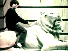 200.gif?cid=fc005b080eee8f2f325c1f993724bc1a7e773997189a9989&rid=200.gif&ct=g