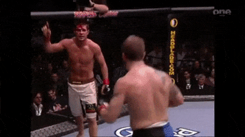 Ufc Flying Knee GIF by Insurance_King