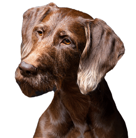 helgaaamanufaktur Sticker