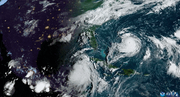 Tropical Storm Hurricane GIF by Storyful