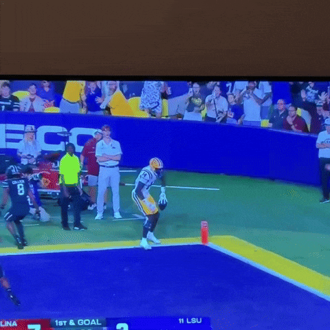 Football Lsu GIF