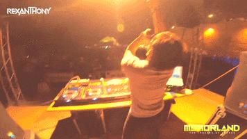 Festival Club GIF by Rexanthony