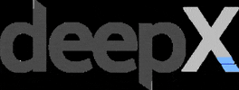 DeepX deepx GIF