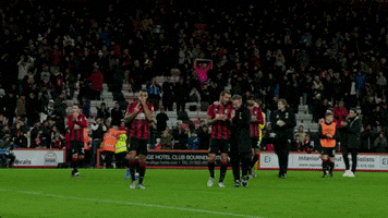 GIF by AFC Bournemouth