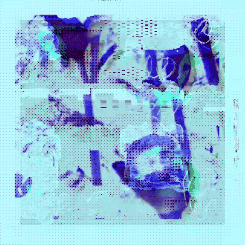 Glitch GIF