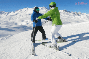 SkiBro skiing skibro GIF