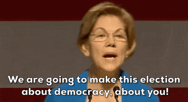 Elizabeth Warren GIF by Election 2020