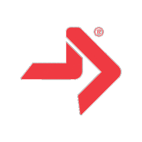 acefitness Sticker