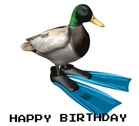 birthday duck