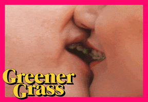 Greener Grass Comedy GIF by Bulldog Film Distribution
