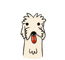 Lamer Sticker