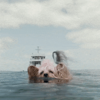 dog swimming GIF by Warner Bros. Deutschland