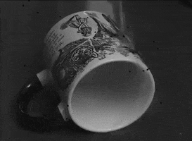 Philosophersguild GIF by The Unemployed Philosophers Guild