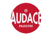 Wellmadeinitaly Sticker by Audace Palestre