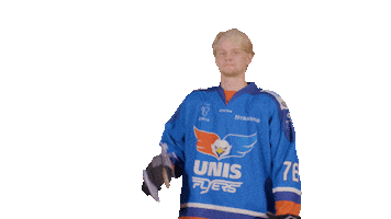 Hockey Victor Sticker by UNIS Flyers
