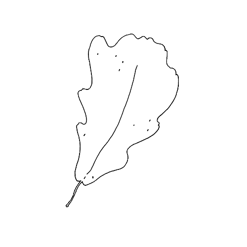 Leaf Sticker