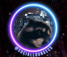 Flashing Lights Party GIF by Social Lounge