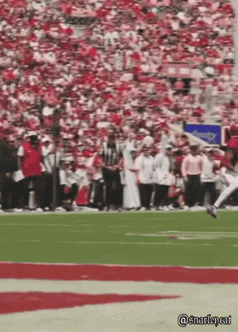 Alabama Football GIF
