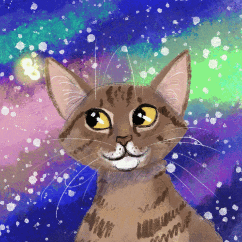 Cute Cat GIF