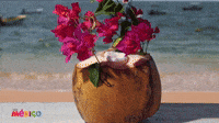 coco-visit-mexico-ThpIMBQ4sESbRzOXst