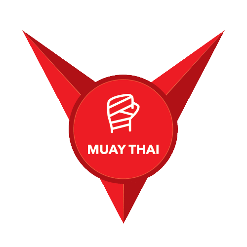 Muaythai Sticker by Academia Vittoria