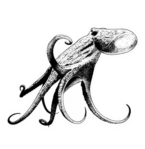 Strange Attractor Press Sticker