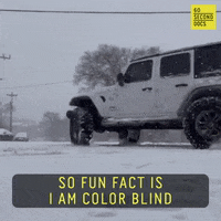 Car Driving GIF by 60 Second Docs