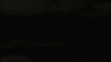 Tauroa tauroa altaussee jausenstation seewiese GIF