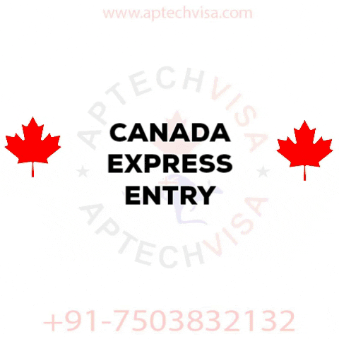 Canada Express Entry GIF