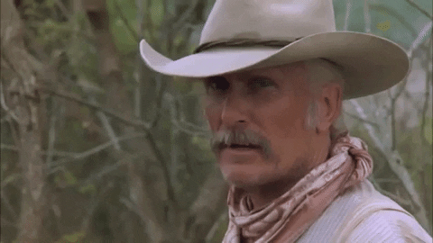 Cowboy GIF