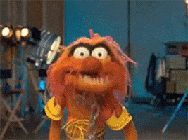 this was my first muppets GIF