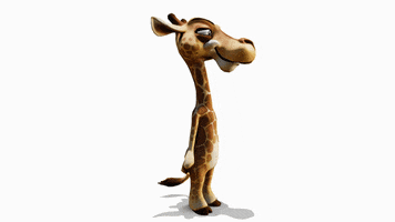 Giraffe GIF