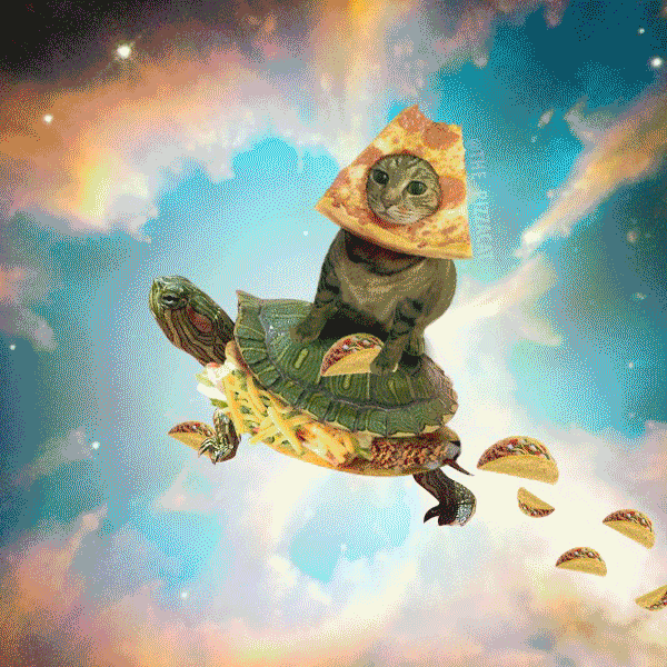 Retina Burn GIFs Get the best GIF on GIPHY