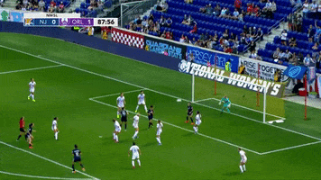NJ/NY Gotham FC GIF
